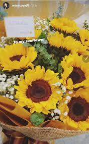 Tentu saja menyaksikan bunga yang cantik bisa memberikan nuansa bahagia dan ceria. Rindu Senja On Twitter Aq Jadi Mau Nyanyi Kayak Meimei Di Upin Ipin Bunga Matahari Sangat Cantik Kembang Diwaktu Pagi Daunnya Hijau Bunganya Kuning Memikat Kumbang Lalu Bunga Matahari Sangat Cantik