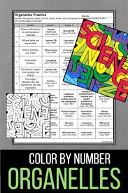 Practice Matching Cell Organelles With Their Function With This Engaging Color By Number Worksheet A Great Activity Cell Organelles Organelles Biology Lessons