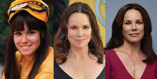 Humorist erma bombeck said of the movie, which also starred bette midler, i have no idea what beaches was all about. Barbara Hershey Plastic Surgery Before And After Pictures 2021