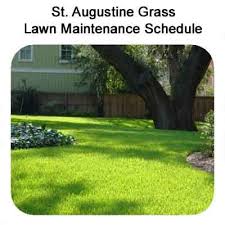 St Augustine Grass Care Florida Fertilizer Lawn Maintenance Schedule Grass Care Lawn Maintenance Schedule St Augustine Grass Care