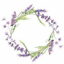 Wildflower Lavender Flower Wreath In A Watercolor Style Isolated Full Name Of The Plant Lavender Aquarelle Cvetochnye Venki Tatu S Lavandoj Besplatnye Ramki