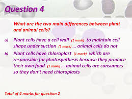 Maybe you would like to learn more about one of these? Ppt The Organelles Of Cells Powerpoint Presentation Free Download Id 5696662