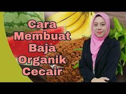 Ikan diproses dengan teknologi mudah sebelum di kutip cecair yang dimasukkan dalam botol dan digunakan dengan cara semburan foliar, disiram terus. Cara Buat Baja Organik Cecair Youtube