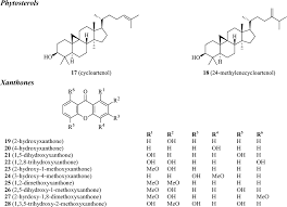 Image result for Garcinia huillensis
