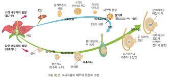 이번 연구는 식량 작물 중 벼의 화분 발아에 기여할 것으로 추측되는 유전자를. Http Konige Kr Upload Tb Open Lecture 33 20 Ec 8b 9d Eb Ac Bc Ec 83 9d Ec 8b 9d 20 20 Ea B0 95 Ec 9d 98 Eb 85 B8 Ed 8a B8 20130220092424 Pdf
