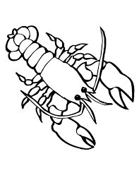 We did not find results for: Slim Slots Coloring Pages Of Sea Creatures