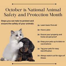 VCA Old Marple Animal Hospital