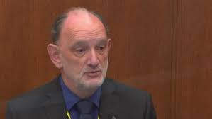 Chauvin trial defense witness speculates