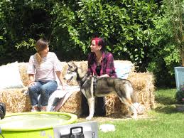 Sonntags, 18 uhr, wdr tiktok: Wipperfurth Tiere Suchen Ein Zuhause Sendung Wird Am Sonntag 3 Juni Gezeigt Rheinische Anzeigenblaetter De