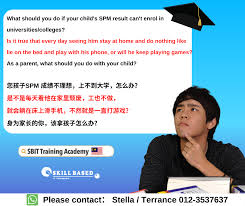 IT 课程目前在市场上的需求量很大