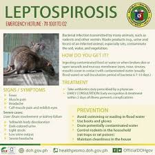 Philippines Doh Issues Health Advisory Post Typhoon Nona Health Contaminated Food Bacterial Infection