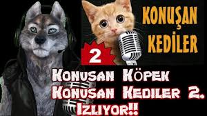 Konusan Kopek Konusan Kediler 1 Izliyor Cok Komik Youtube