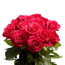 This cup is actually two cups, one inside the other, joined at the rim. 50 Stems Of Hot Pink Pink Floyd Roses Beautiful Fresh Cut Flowers Express Delivery Walmart Com Walmart Com