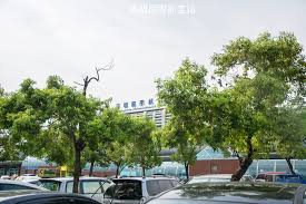 Lorem ipsum has been the industry's standard dummy text ever since the 1500s. é«˜é›„æ™¯é»ž é«˜é›„åœ‹éš›èˆªç©ºç«™ å°æ¸¯æ©Ÿå ´é£›æ©Ÿè§€æ™¯å° é£›æ©Ÿæ¨¡åž‹ å…è²»å®¤å…§è¦ªå­æ™¯é»ž Hallo I M å©·å…'