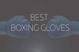 The 12 Best Boxing Gloves 2020 Beginners Kickboxing