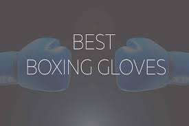 the 12 best boxing gloves 2020 beginners kickboxing