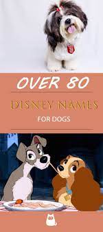 Hopefully this list of tv dog names and famous dog names gives you a good idea about what to name your new addition to the family. Disney Names For Dogs Male Female Characters Puppy Names Dog Names Disney Disney Names
