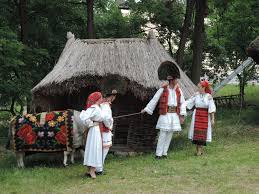 / gospodărie țărănească din parcul etnografic naţional romulus vuia. InstruÈ›atul Boului In Parcul Etnografic Romulus Vuia Muzeul Etnografic Al Transilvaniei