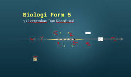 Nota kreatif (ringkas) biologi spm (tingkatan 4 dan tingkatan 5). Biologi Form 5 Bab 3 By Yusri Zafri On Prezi Next
