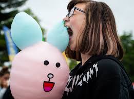 Taste of Tacoma brings 40 plus food sellers to Point Defiance Park