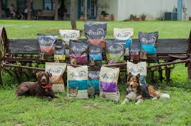Low fat dog food recipes. 4health Dog Food 2021 Review Rating Recalls Dog Food Care