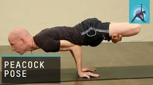 Maybe you would like to learn more about one of these? Peacock Pose Or Mayurasana Advanced Yoga Youtube