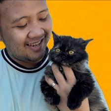 Hi, Alexians! Here are some points for your guidance for the summer and  opening of classes for SY 2020