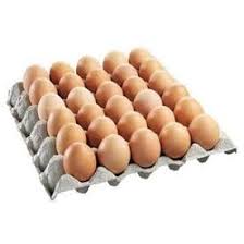35.000, harganya lebih murah dibandingkan dengan ayam petelur yang berusia 16 minggu hal ini dikarenakan ayam petelur belum memasuki umur produktiv yang dapat menghasilkan banyak telur. Telur Ayam Gred A 1 Papan Shopee Malaysia
