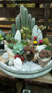 62 Diy Miniature Fairy Garden Ideas To Bring Magic Into Your Home Page 9 Of 62 Soopush Mini Cactus Garden Succulent Garden Diy Miniature Garden