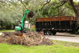 Yard debris removal service