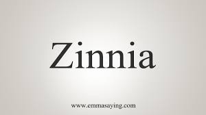 Record yourself saying 'zinnia' in full sentences, then watch yourself and listen. How To Say Zinnia Youtube
