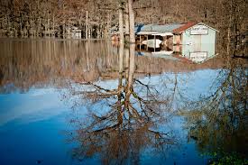 Caddo lake cabins for sale. Hundreds Flee Rising Caddo Lake Residents Awed By Week S Deluge Local News News Journal Com