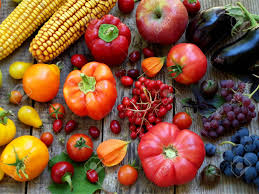 ÙØªÙØ¬Ø© Ø¨Ø­Ø« Ø§ÙØµÙØ± Ø¹Ù âªPurple fruits and vegetablesâ¬â
