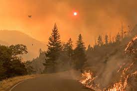 Some 136 fires were recorded in the province of british columbia alone, cliff chapman of the wildfire service said on friday, dpa. 2021 North American Wildfire Season Center For Disaster Philanthropy
