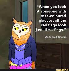 When You Look At Someone With Rose Coloured Glasses All The 3 Red Flags Look Just Like Flags Wanda Bojack Horseman Ifunny Horseman Bojack Horseman Red Flag Quotes