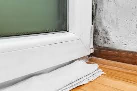 Dort enstehen dann algen und pilze, die für diese. Kondenswasser Am Fenster Was Konnen Sie Dagegen Tun