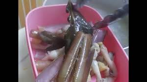 May 25, 2021 · resep kerang bambu saus padang. Cara Mencuci Sampai Dengan Memasak Kerang Bambu Razor Clam Youtube