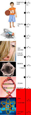 Nanotechnology Size Scale The Relative Size Of