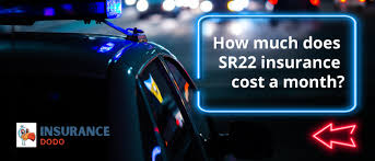 How much does it cost? How Much Does Sr22 Insurance Cost A Month 2021