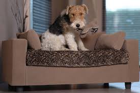 Ce canapé est l'assurance de donner à votre boule de poils préférée un couchage au confort inégalable. Lit Pour Chien Et Chat Luxe Avec 3 Plaids Jouet Et Porte Cle Cuir En Prix Special