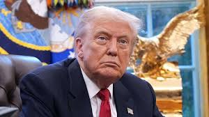 Lauderdale County Sheriff's Office hosts active shooter training at Wilson  High School