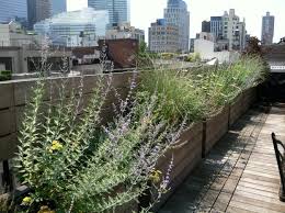 We are landscape and garden design company specializing in a variety of urban garden design for rooftops, backyards, front yards, terraces for residential and commercial clients in the new york city area. Nyc Backyard Rooftop Garden Designer For The Beautifully Wild Alexandra Abuza