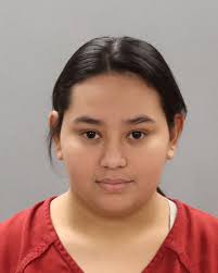 HIGGINS, MARSHA ANN Charges: EVADING ARREST DUI: FIRST OFFENSE LEAVE SCENE  OF ACCIDENT