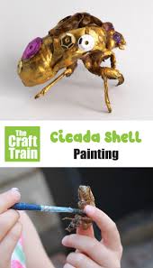 Cicada shell location and rarity. Cidada Shell Art The Craft Train