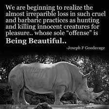 Best endangered species quotes selected by thousands of our users! Veganize This Animal Rights Animal Quotes Endangered Animals