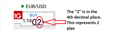 What Is A Pip Using Pips In Forex Trading