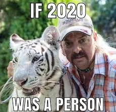 Questionwhere to buy tiger king's underwear? Funny Tiger King Memes About Joe Exotic And Carole Baskin
