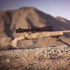 We did not find results for: Vortex Viper Pst 6 24x50 Review Ffp Scope W Ebr 1 Moa