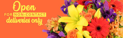 159 douro st, peterborough, on k9h 1h7, kanada. Designs By Brenda Your Local Wiarton On Florist Flower Shop