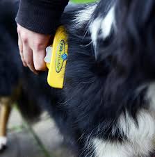 Find deshedding tools for dogs. Furminator Deshedding Tool For Large Dogs Furminator Dog Grooming Lords Labradors